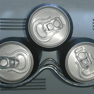 Gaseosa 355 ml